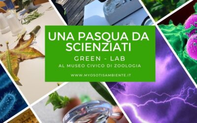 MUSEO-GREEN: una Pasqua da Scienziati!