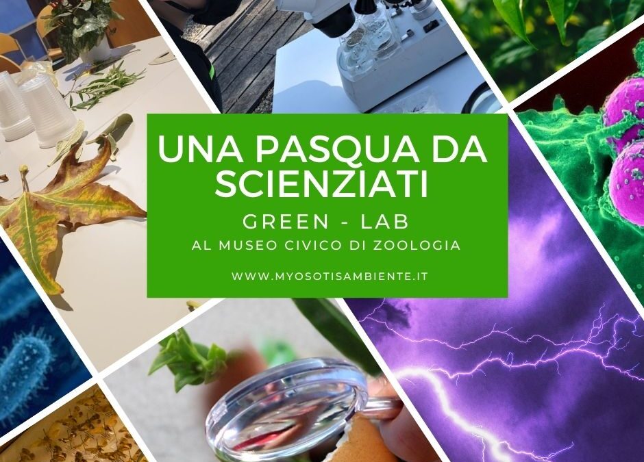 MUSEO-GREEN: una Pasqua da Scienziati!